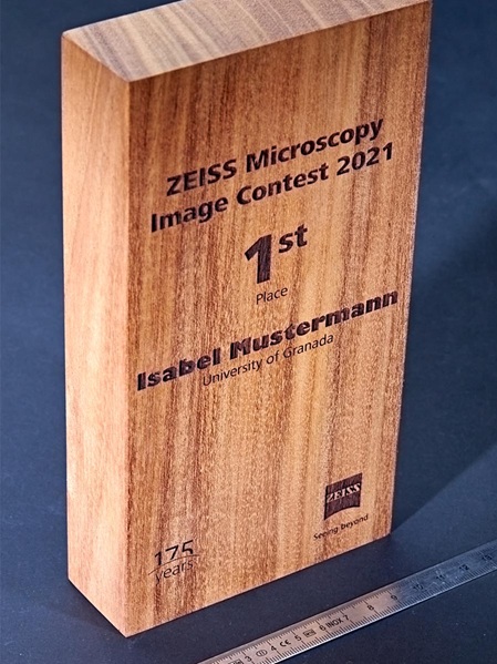 Musterpokal aus einem lasergravierter Mahagoniblock. Vor dem Block liegt ein Stahlmaßstab als Größenvergleich.