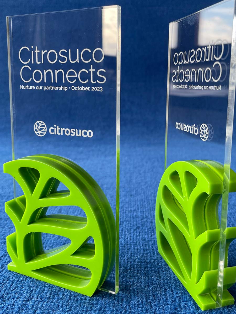 Foto zeigt zwei Acrylglas Awards. Beide Awards haben im unteren Bereich beidseitig ein Blätter-Logo aus durchgefärbtem hellgrünen Acrylglas aufgeklebt. Die Platte in der Mitte ist aus farblosem Acrylglas. Auf das farblose Acrylglas wurde der Text "Citrosuco Connects - Nurture our partnership - October 2023" und das Firmenlogo von Citrosuco lasergraviert.