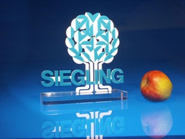 Foto zeigt Award mit dem Firmenlogo der Firma Siegling. Türkises Acrylglas ist auf einem weißen Baum verklebt und wirkt wie Blätter, darunter steht der Name Siegling ebenfalls in türkis. Das Gebilde ist auf einer Grundplatte aus massiven, farblosem Acrylglas verklebt. Daneben liegt ein Apfel als Größenvergleich.